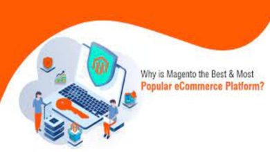 Photo of Top reasons why Magento Development is the best