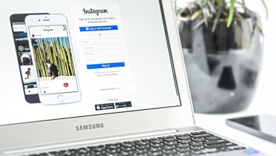 Photo of What are the benefits of using a local SEO firm for a small business?