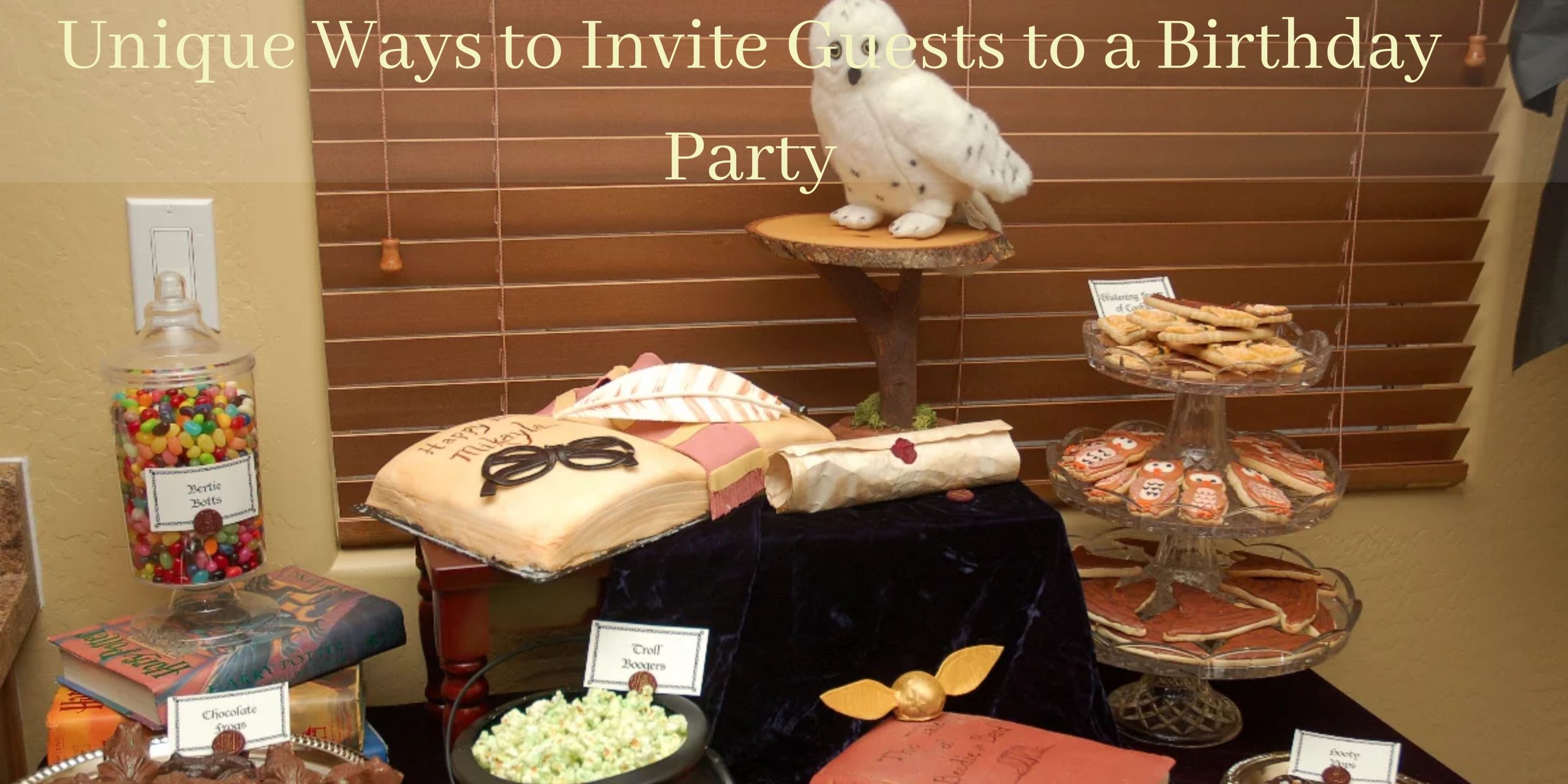 Harry Potter theme party