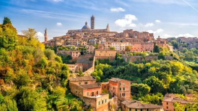 Photo of One Day Trip of Rome Siena & San Gimignano