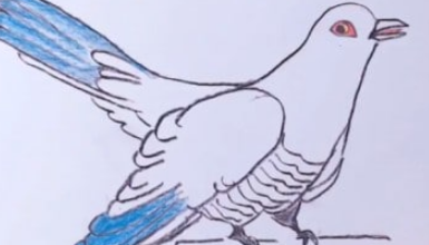 Photo of How to draw an easy raven step by step – Easy animals to draw for kids.