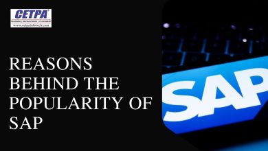 Photo of Reasons Behind the Popularity of SAP