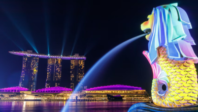 Photo of Where Should I Visit In Singapore?