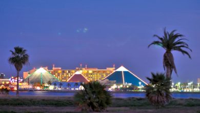 Photo of Moody Gardens Review And Tour Is It Worth the Price?