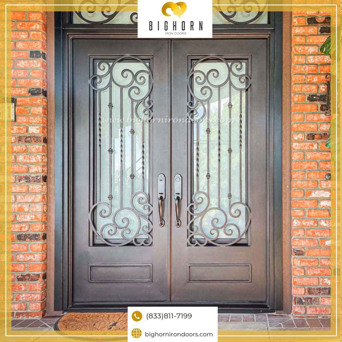 Modern Iron Doors