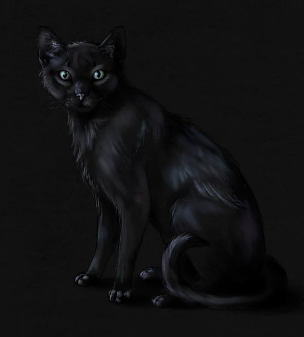 Draw A Cat