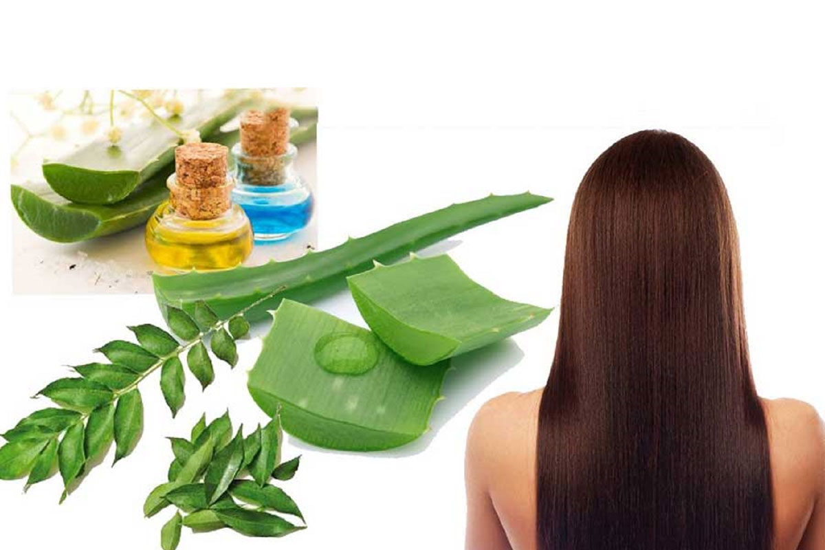 Best Herbal Hair Treatment for Unisex