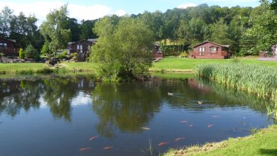 Photo of Park Homes Scotland