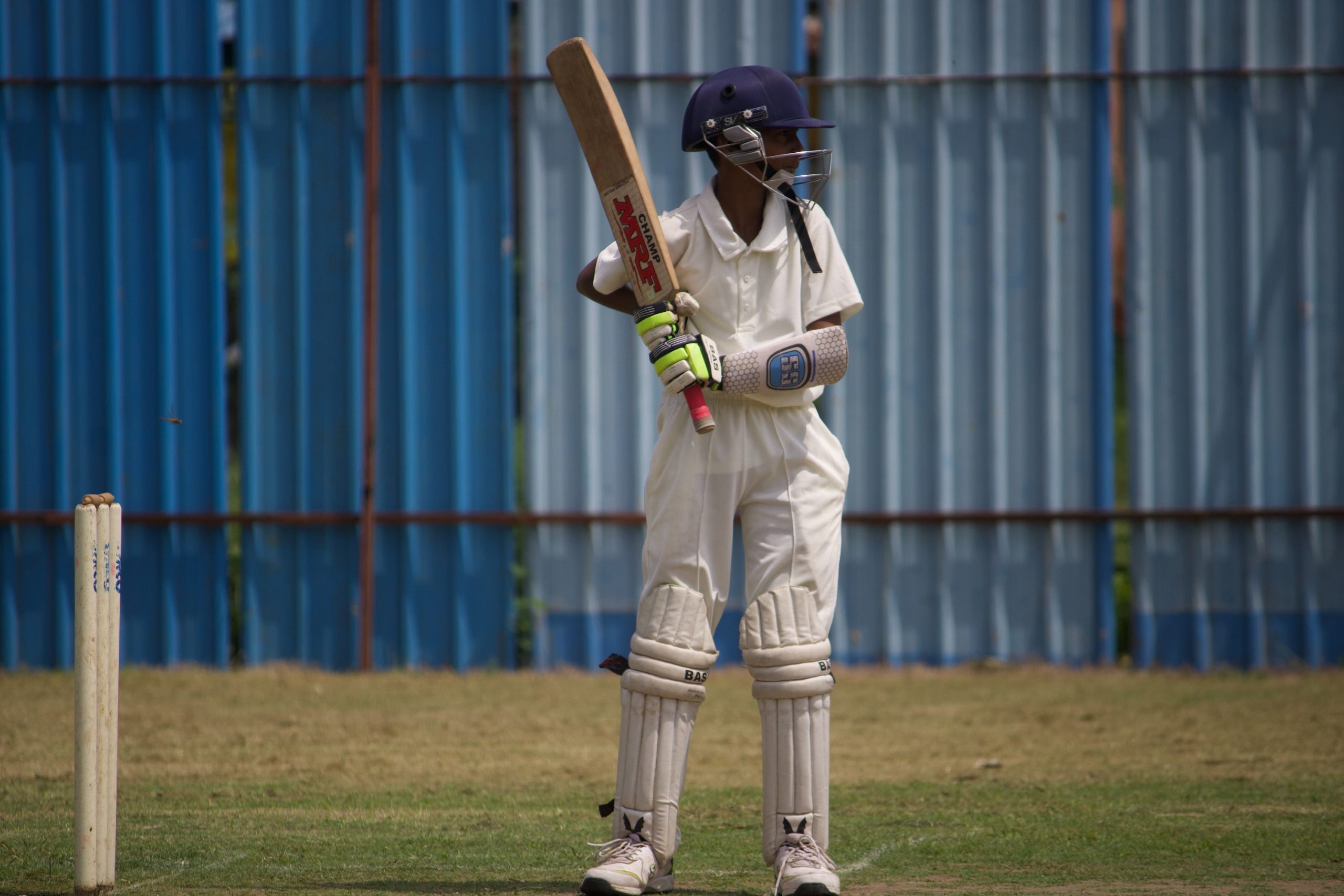 cricket