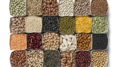Photo of legumes: Know What is It ? How Its Healthy?