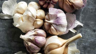 Photo of Garlic Is Good For Our Health