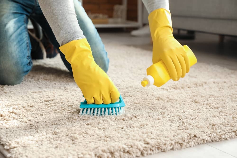 Carpet cleaning