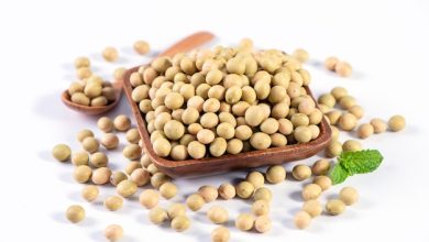 Photo of Soybeans Are Good For Your Health