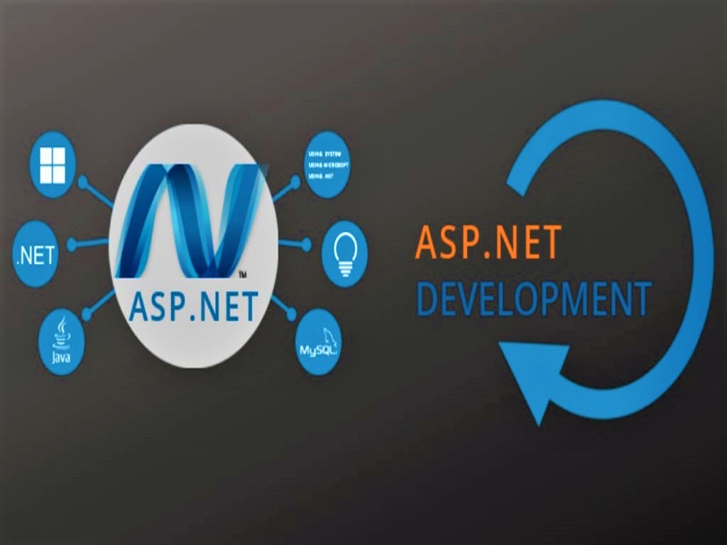 .Net developer