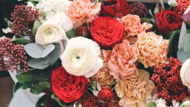 Photo of Best Flower Delivery in UK Online For Your Love