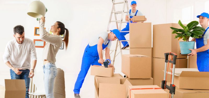 furniture movers in dubai