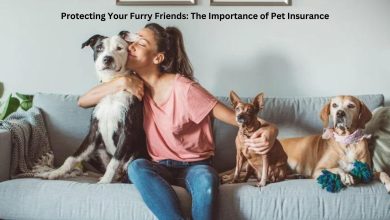 Photo of Protecting Your Furry Friends: The Importance of Pet Insurance