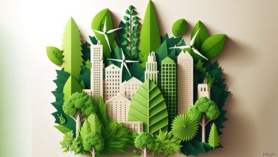Photo of Sustainability Trends in Global Construction Projects